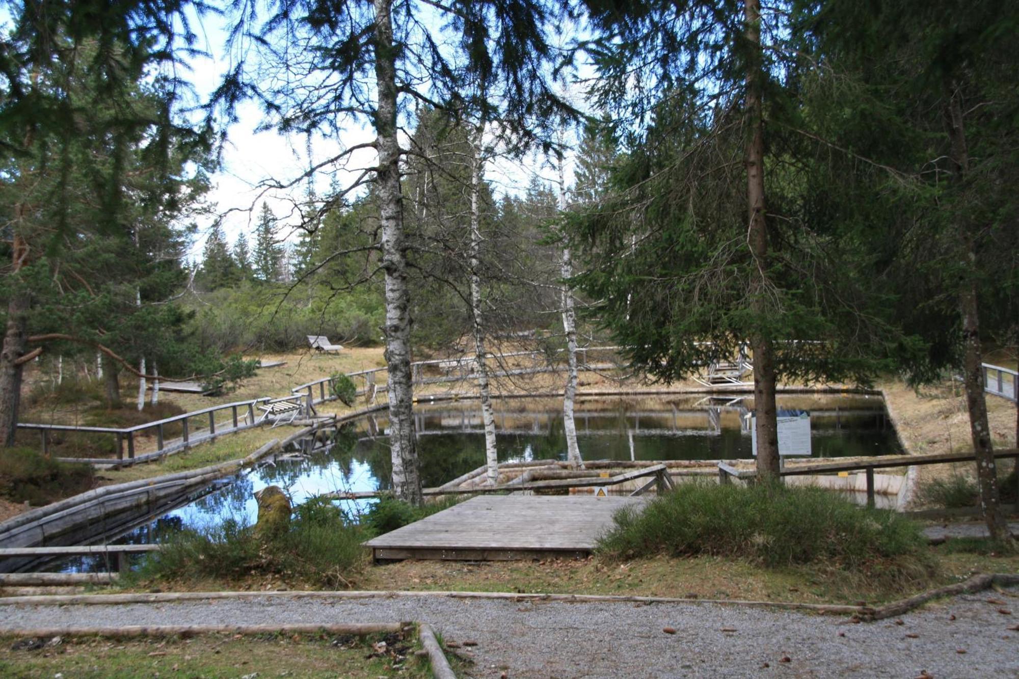 Ferienwohnung Bachmann Oberjoch Exteriér fotografie
